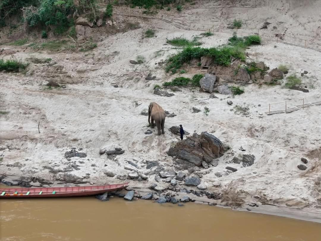 شقة Mekong Backpackers Muang Pakbèng المظهر الخارجي الصورة