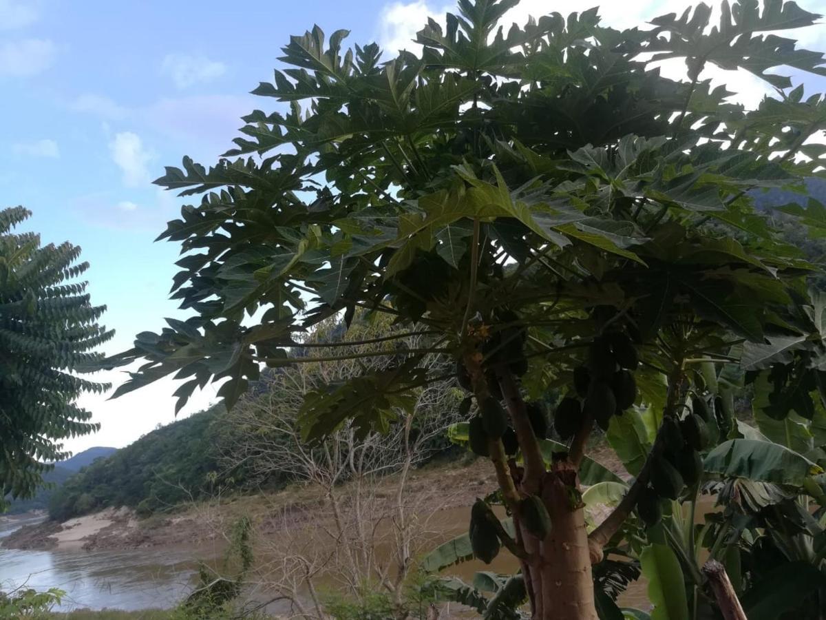 شقة Mekong Backpackers Muang Pakbèng المظهر الخارجي الصورة